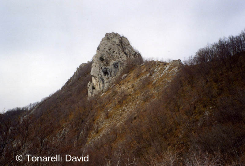 MONTE ROVAIO DA COLLE PANESTRA